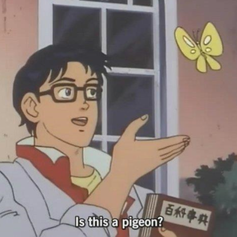 Is This a Pigeon?