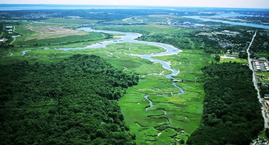 (Image via Freshkills Park)