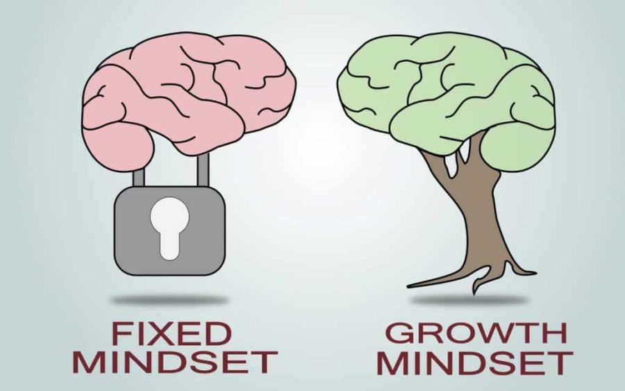 The Faults of Growth Mindset