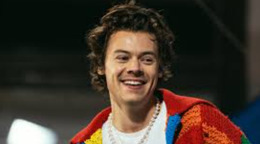Harry Styles: From X Factor to Live Crowds