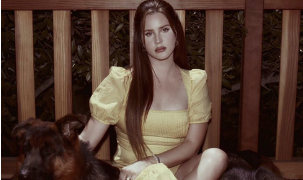 Lana del Rey CD / blue banisters / aesthetic png