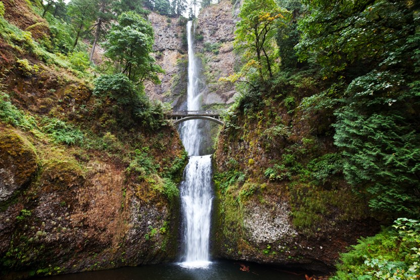 Canvas of Cascadia: A Painters Journey Through Oregon