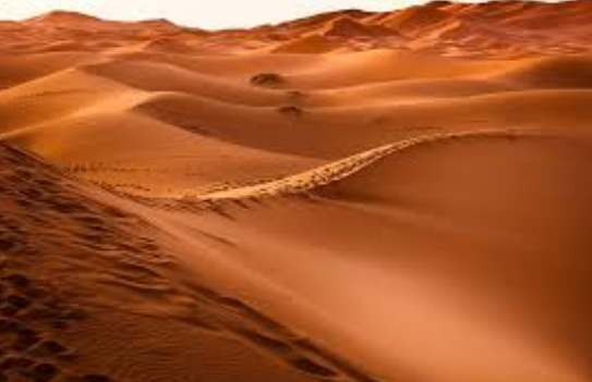 Image via Rawpixel.com